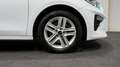 Kia Ceed / cee'd Ceed Vision 1.6 CRDi Auto. Navi SitzHz. Kamera Weiß - thumbnail 10