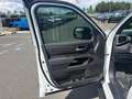 Toyota Sequoia LIMITED NIGHTSHADE EDITION HYBRID Weiß - thumbnail 11