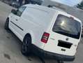 Volkswagen Caddy Maxi 2.0 l 110 CH 4Motion Wit - thumbnail 1