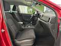 Kia Sportage 1.6 MHEV Black Edition 100kW 136CV 4x2 Burdeos - thumbnail 12