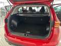 Kia Sportage 1.6 MHEV Black Edition 100kW 136CV 4x2 Burdeos - thumbnail 10