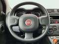 Fiat Panda Hybrid 1.0 Gse 51kw (70CV) Gris - thumbnail 11