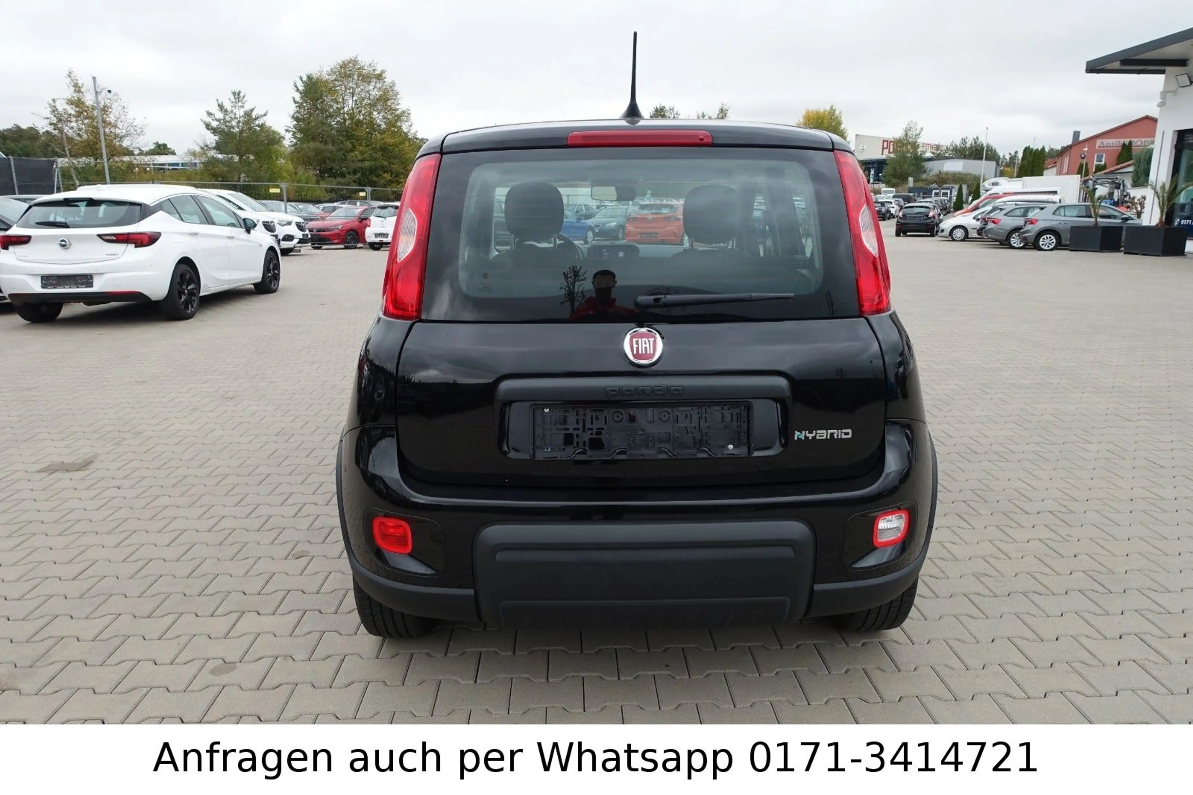 Fiat Panda 1.0GSE Hybrid — photo 5