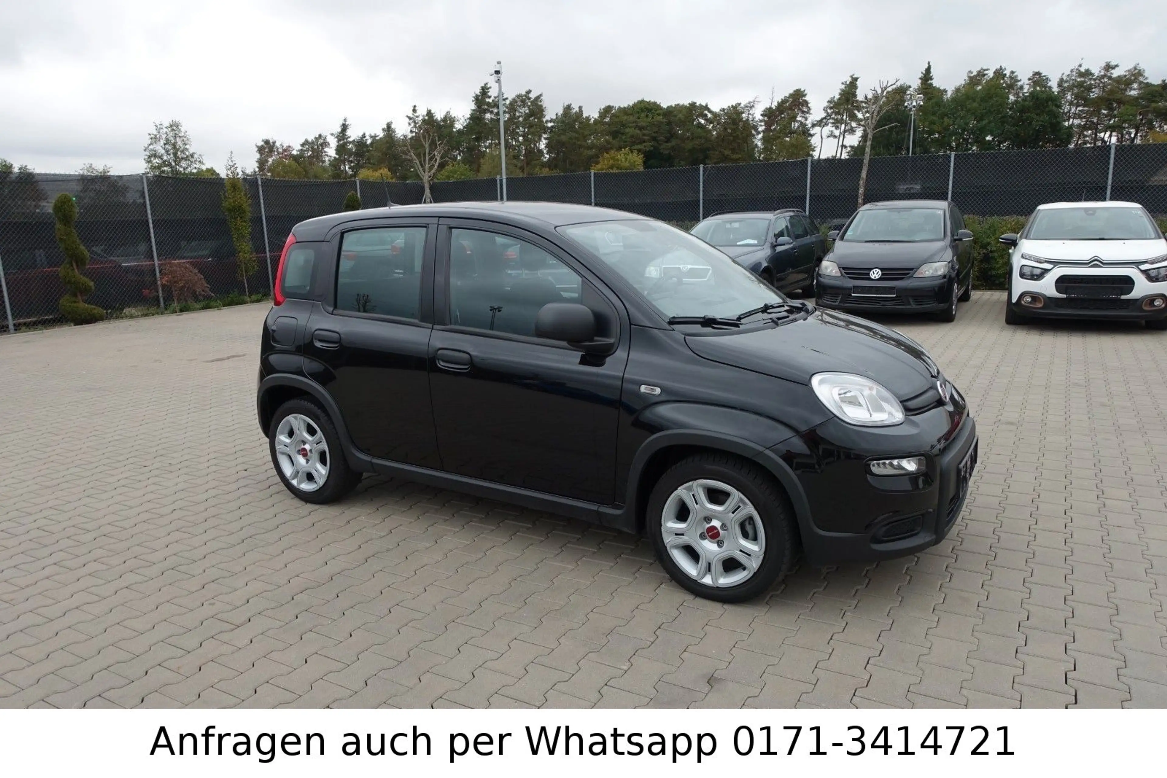 Fiat Panda 1.0GSE Hybrid — photo 3