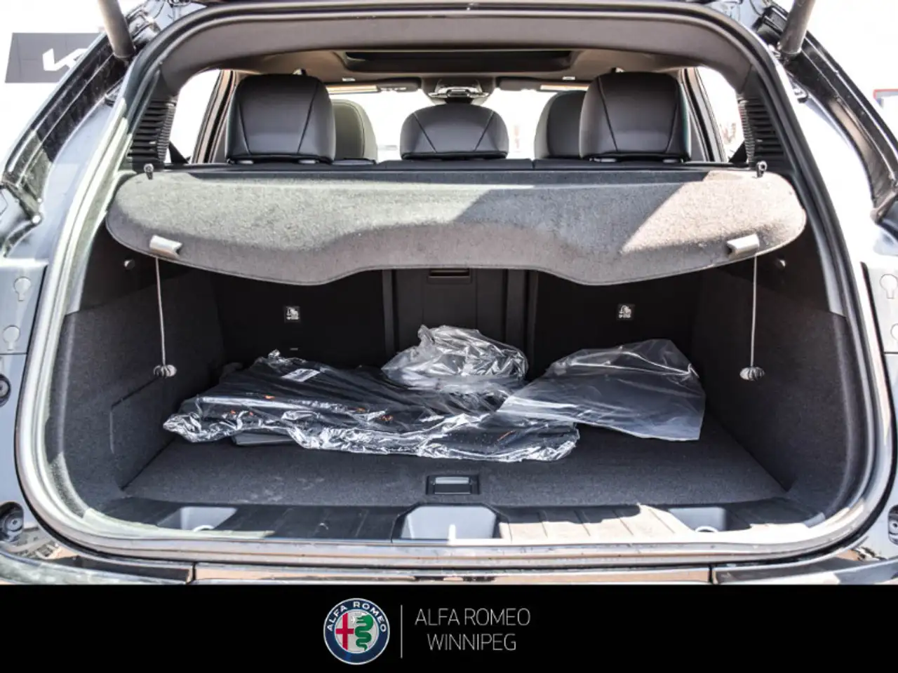 Alfa Romeo Tonale снимка Alfa Romeo Tonale