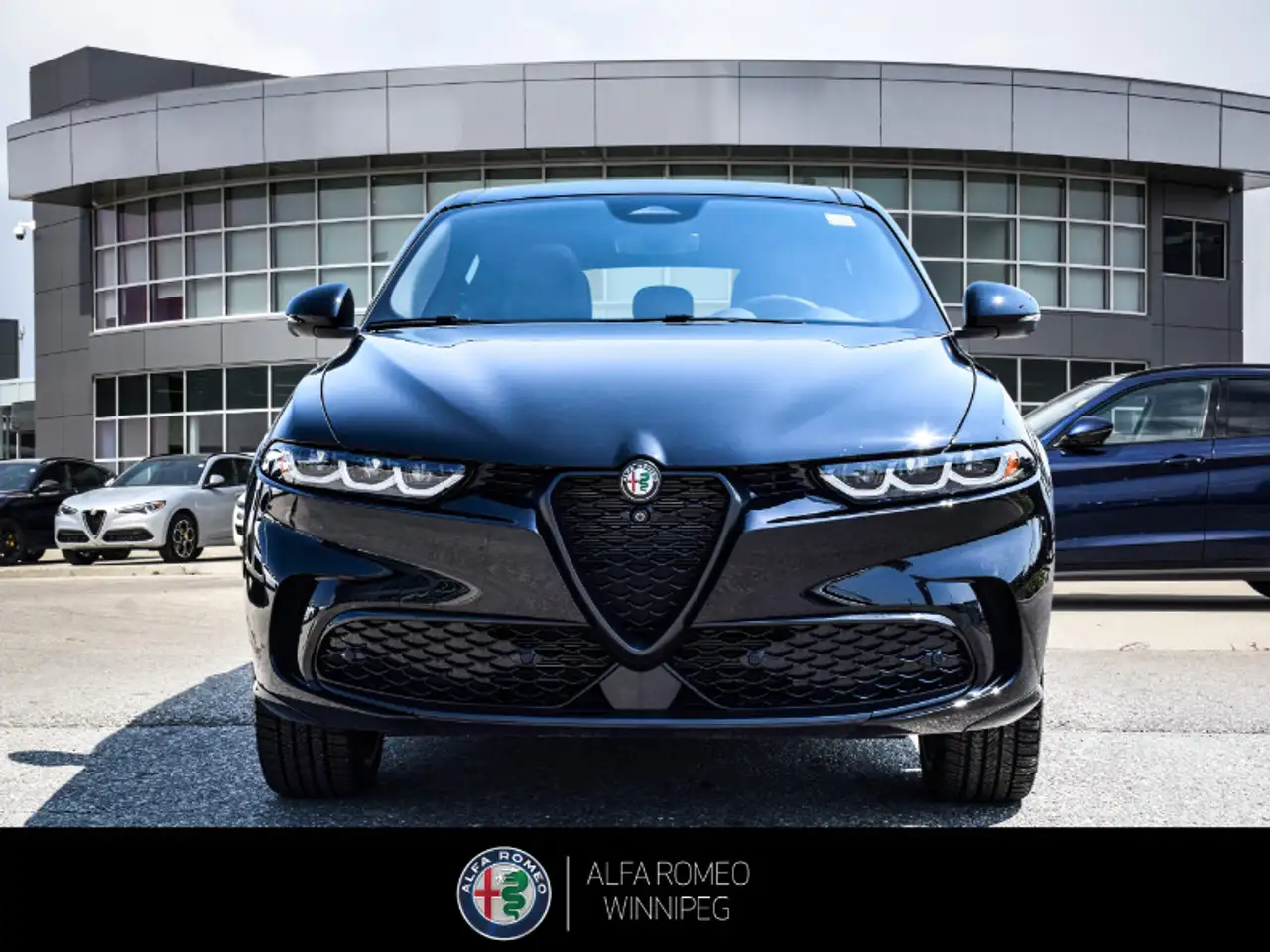 Alfa Romeo Tonale снимка Alfa Romeo Tonale