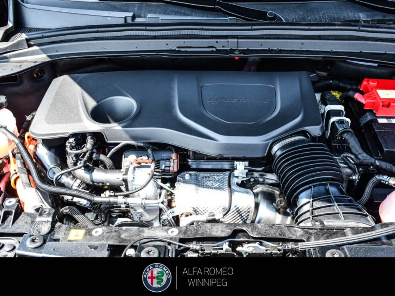 Alfa Romeo Tonale снимка Alfa Romeo Tonale