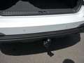 Skoda Kamiq Tour 1.0 TSI COMFORT|BLACK|DSG|ACC|AHK| Wit - thumbnail 22
