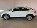 Audi Q3 Q3 SPB 35 TFSI S tronic Business Plus Bianco - thumbnail 3