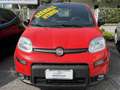 Fiat Panda 1.0 FireFly S&S Hybrid Sport 70 CV Rosso - thumbnail 1