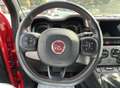 Fiat Panda 1.0 FireFly S&S Hybrid Sport 70 CV Rosso - thumbnail 10
