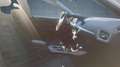 BMW 116 i 5p. Advantage Aut. Bianco - thumbnail 8