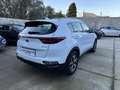 Kia Sportage 1.6 crdi mhev Business Class 2wd 136cv - thumbnail 4