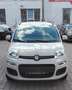 Fiat Panda Lounge Beige - thumbnail 8