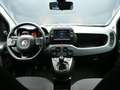 Fiat Panda Cross 1.0 FireFly S&S Hybrid Vert - thumbnail 12