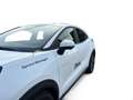 Ford Puma Titanium + Winterpaket + Allwetter Blanc - thumbnail 11