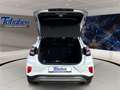 Ford Puma Titanium + Winterpaket + Allwetter Blanc - thumbnail 14