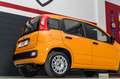 Fiat Panda 1.0 FireFly 70cv Hybrid IVA compresa Naranja - thumbnail 12