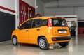Fiat Panda 1.0 FireFly 70cv Hybrid IVA compresa Arancione - thumbnail 4