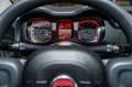 Fiat Panda 1.0 FireFly 70cv Hybrid IVA compresa Oranje - thumbnail 11