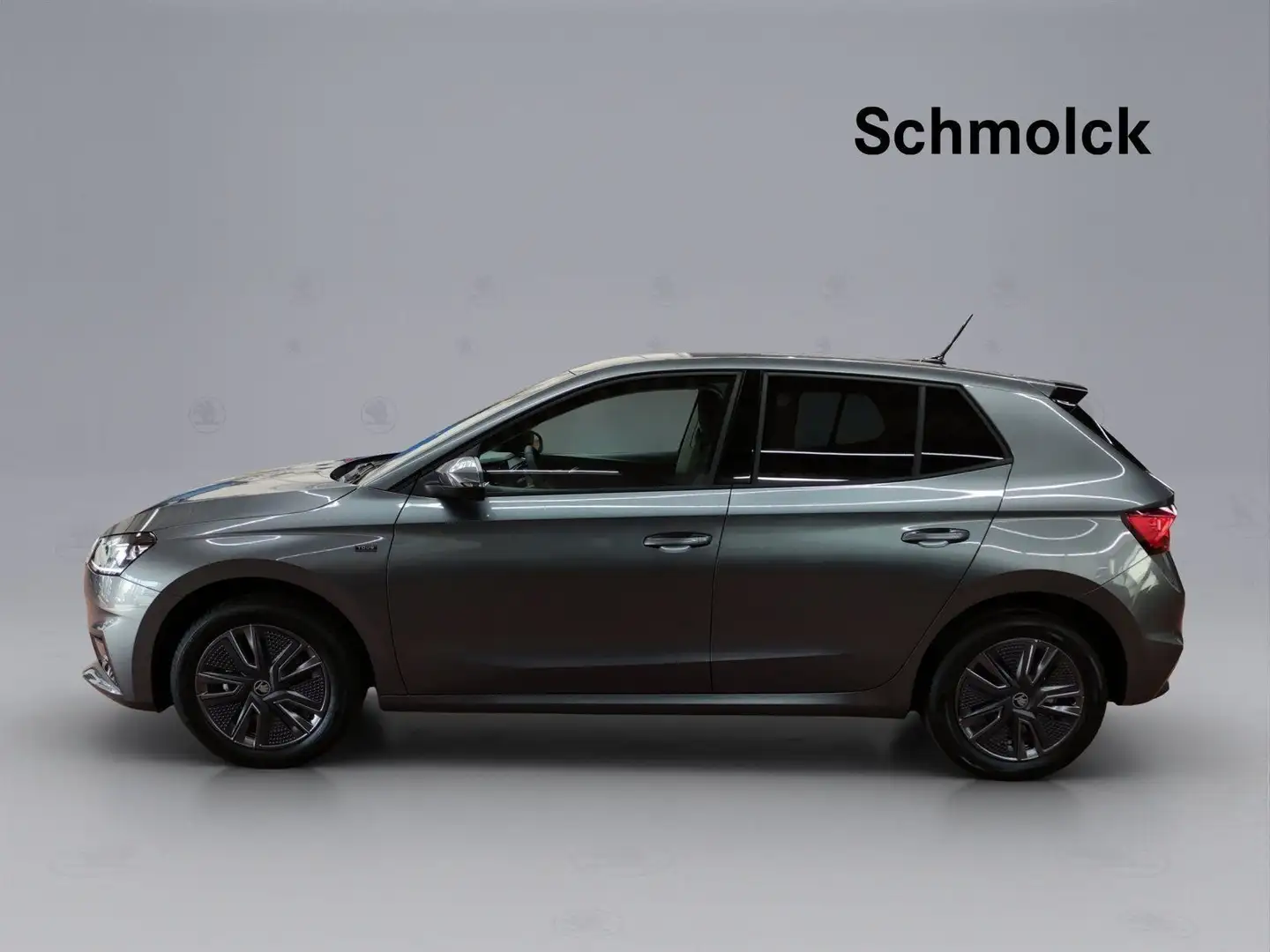 Skoda Fabia Tour 1.0 MPI 80PS RFK DAB GRA LED PDC Grau - 2