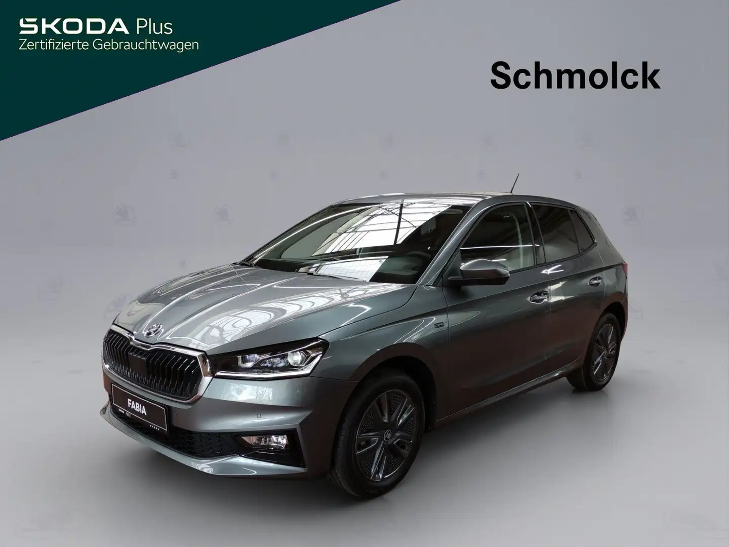 Skoda Fabia Tour 1.0 MPI 80PS RFK DAB GRA LED PDC Grau - 1