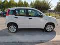 Fiat Panda 0.9 TwinAir Turbo Natural Power Easy km 53.000 Bianco - thumbnail 6