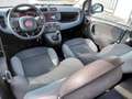 Fiat Panda 0.9 TwinAir Turbo Natural Power Easy km 53.000 Bianco - thumbnail 15