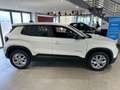Jeep Avenger 1.2 Turbo 100 CV Altitude Weiß - thumbnail 7
