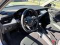 Skoda Kamiq 2024 1.0 tsi Black Dots 115cv dsg automatico Grijs - thumbnail 10