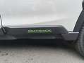 Subaru OUTBACK Outback 2.5i Lineartronic Exclusive Cross White - thumbnail 14