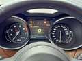 Alfa Romeo Stelvio VELOCE 2.0 Turbo 16V AWD ACC DAB+ RFK - thumbnail 22
