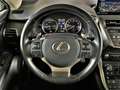 Lexus NX 300h AWD Business + 8 ans garantie! Šedá - thumbnail 15
