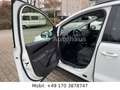 SEAT Alhambra Style*2HAND*7SITZE*KAMERA*BI-XE Weiß - thumbnail 15