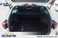 Volkswagen Passat Variant Alltrack 4Motion Pano | Allrad | Standheizung | 8 Blanc - thumbnail 15