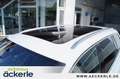 Volkswagen Passat Variant Alltrack 4Motion Pano | Allrad | Standheizung | 8 Weiß - thumbnail 9