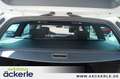 Volkswagen Passat Variant Alltrack 4Motion Pano | Allrad | Standheizung | 8 Blanc - thumbnail 17
