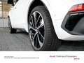Audi SQ5 3.0 TDI Black Paket Raupen-Sitze M Weiß - thumbnail 8