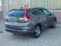 Honda CR-V Executive 4WD Automatik *1.HAND* Bruin - thumbnail 10