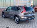 Honda CR-V Executive 4WD Automatik *1.HAND* Bruin - thumbnail 3
