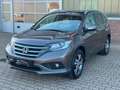 Honda CR-V Executive 4WD Automatik *1.HAND* Bruin - thumbnail 1