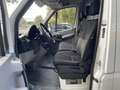 Mercedes-Benz Sprinter 313 CDI Maxi *Klima*HU/AU NEU* Weiß - thumbnail 11