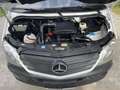 Mercedes-Benz Sprinter 313 CDI Maxi *Klima*HU/AU NEU* Weiß - thumbnail 18
