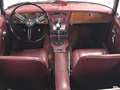 Austin-Healey 3000 MK3 Phase 2 M0887 - thumbnail 18