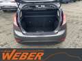 Ford Fiesta 1.0 Celebration Klima 5-Türer Grau - thumbnail 7