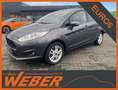 Ford Fiesta 1.0 Celebration Klima 5-Türer Grau - thumbnail 1