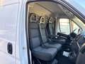 Fiat Ducato 2.3 MJT 140CV L2 H2 PM TM 3 Posti Bianco - thumbnail 12