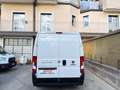 Fiat Ducato 2.3 MJT 140CV L2 H2 PM TM 3 Posti Bianco - thumbnail 6