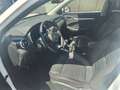 MG ZS ZS 1.0 T-GDI Luxury 82kW Luxury Blanco - thumbnail 12