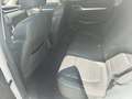 MG ZS ZS 1.0 T-GDI Luxury 82kW Luxury Blanco - thumbnail 11